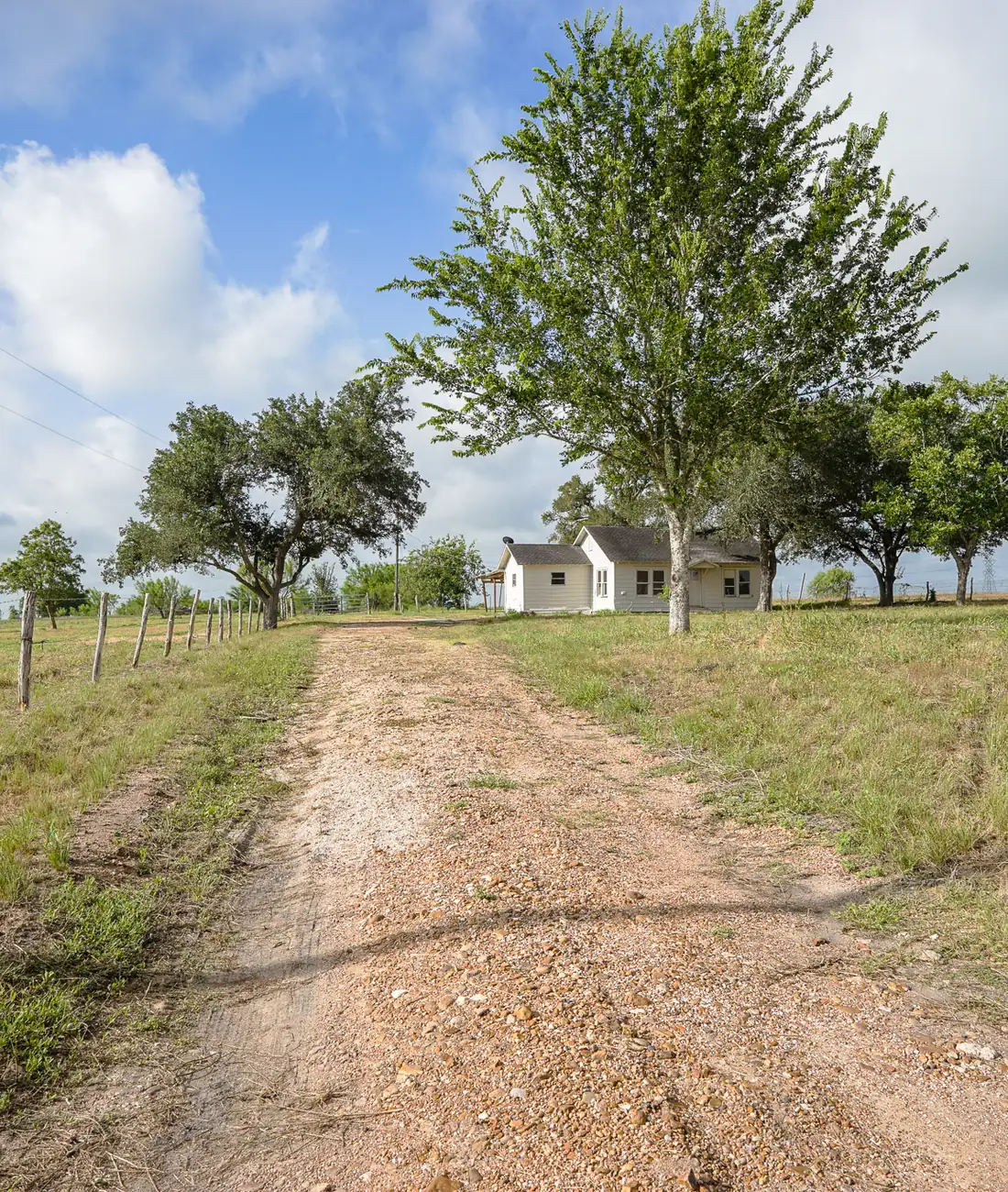 Dirt driveway between oak trees leading to a farmhouse on the La Grange property, Fayette County, Texas.