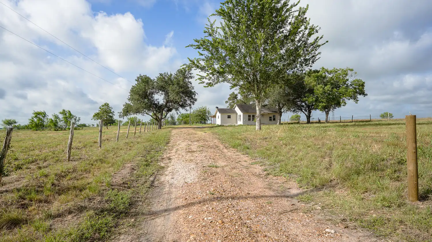 Dirt driveway between oak trees leading to a farmhouse on the La Grange property, Fayette County, Texas.
