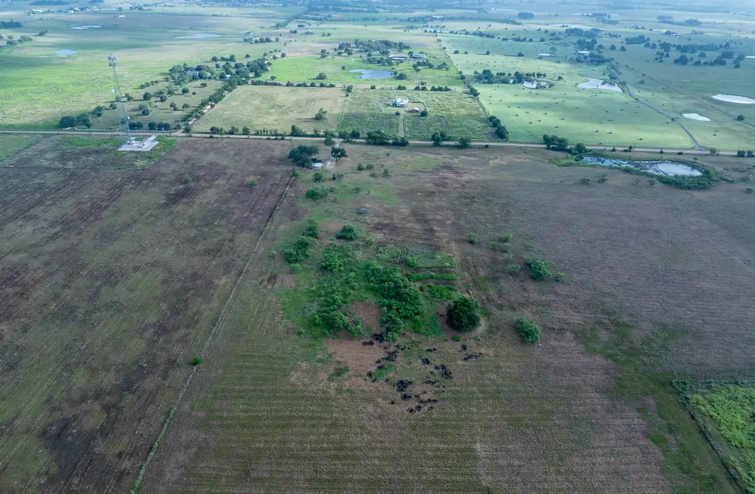 Rolling cleared farmland with a tree line and distant structures along Berger Road, Fayette County, Texas.