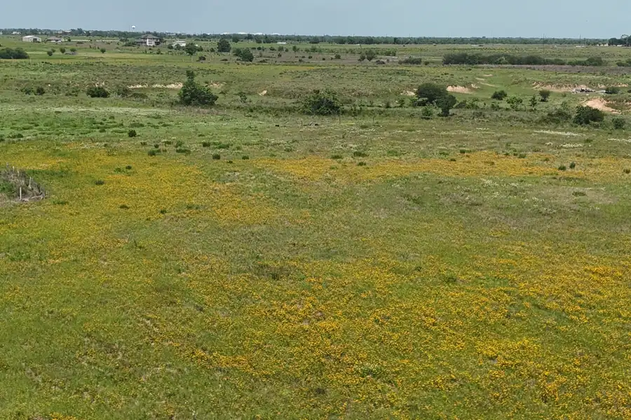 Cleared pasture with wildflowers on Tract 4, Sealy, Texas.