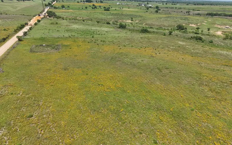 Cleared pasture and gravel road frontage on Tract 4, Sealy, Texas.